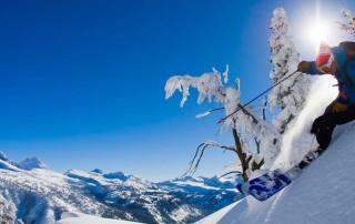 Jackson Hole esqui skipoint