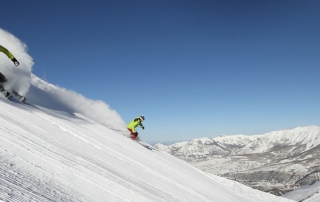 Telluride esqui skipoint