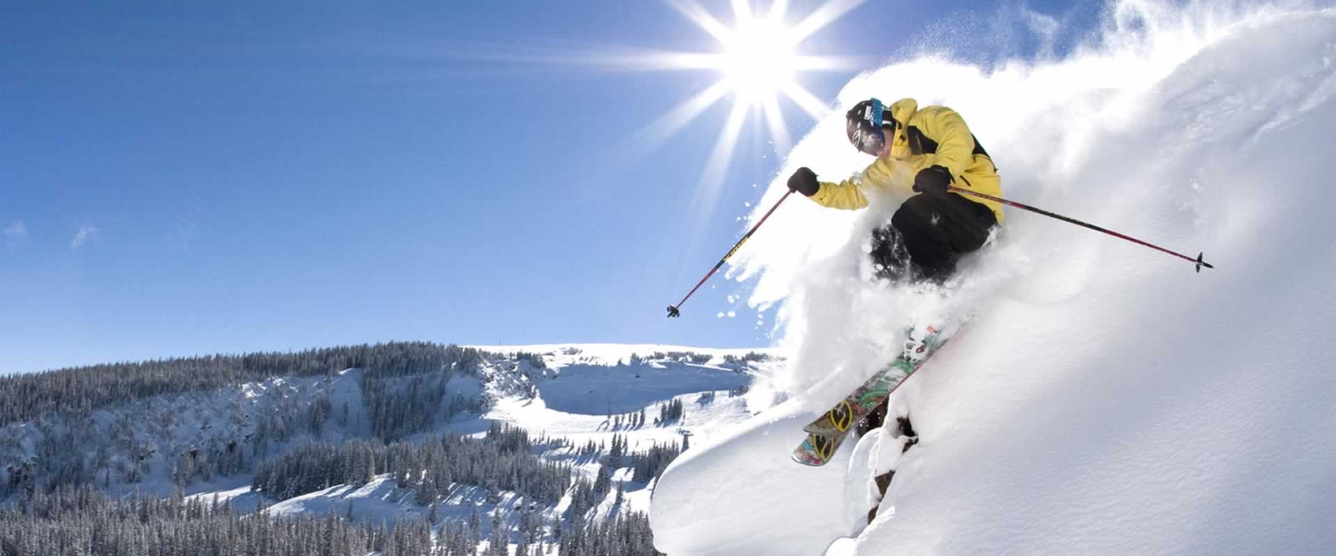 aspen esqui skipoint