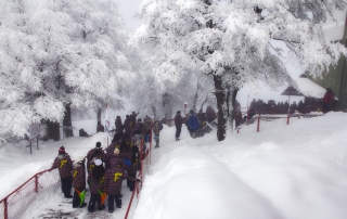 Cerro Otto
